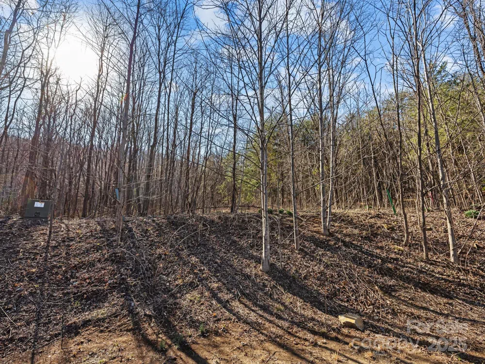 000 Stafford Lane S #2065 Mill Spring, NC 28756
