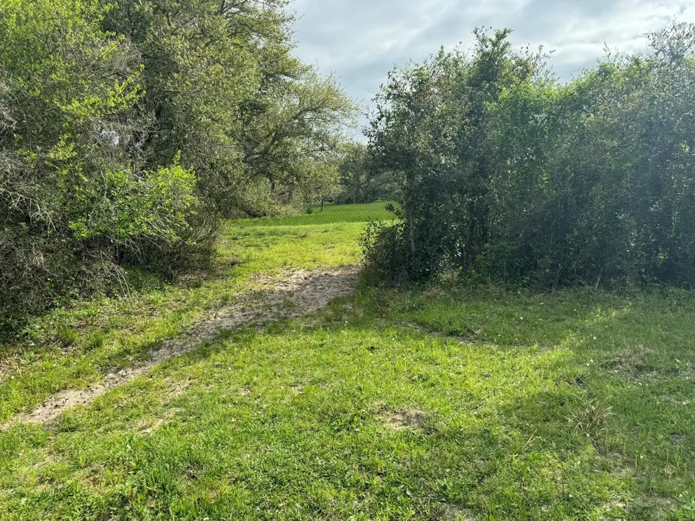 County Road 394 El Campo, TX 77437