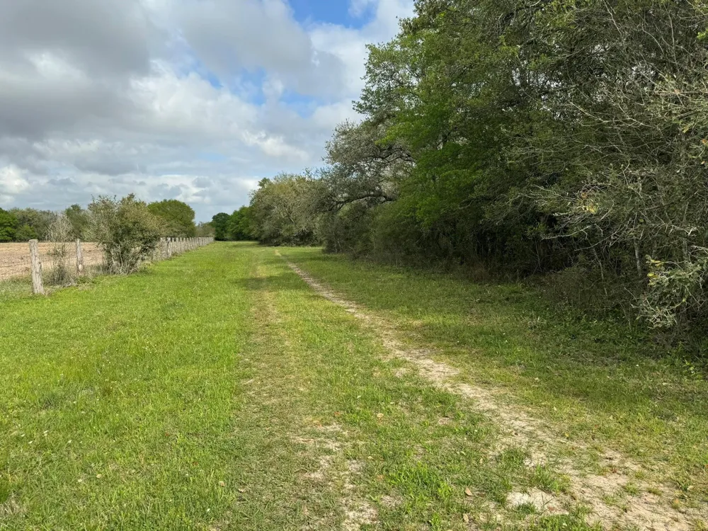 County Road 394 El Campo, TX 77437