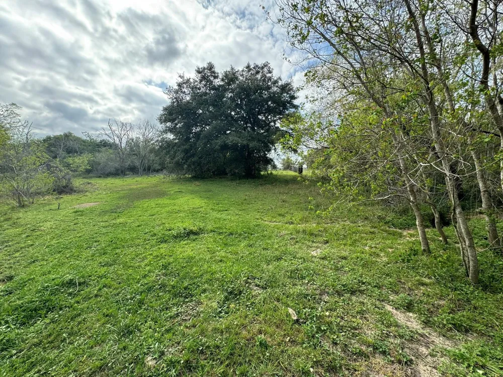 County Road 394 El Campo, TX 77437