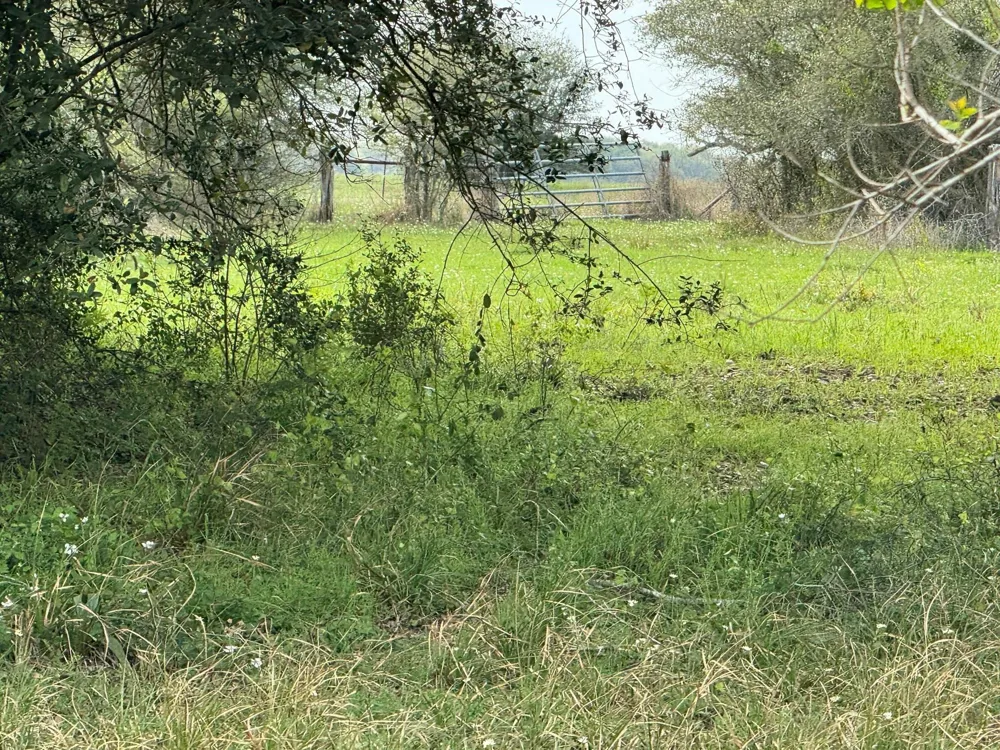 County Road 394 El Campo, TX 77437