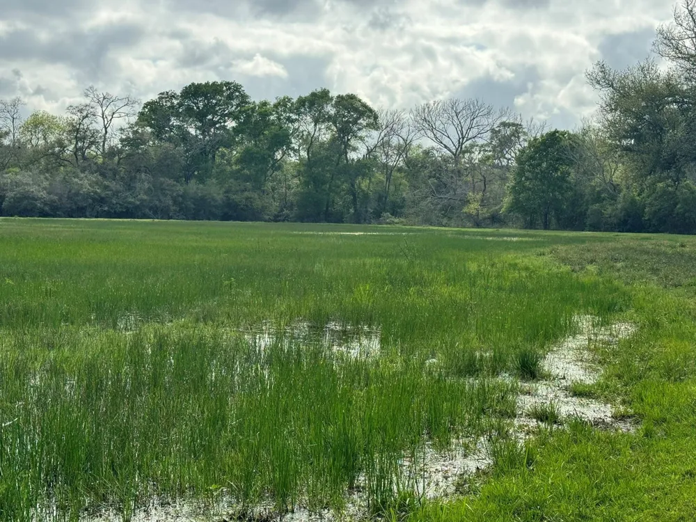 County Road 394 El Campo, TX 77437