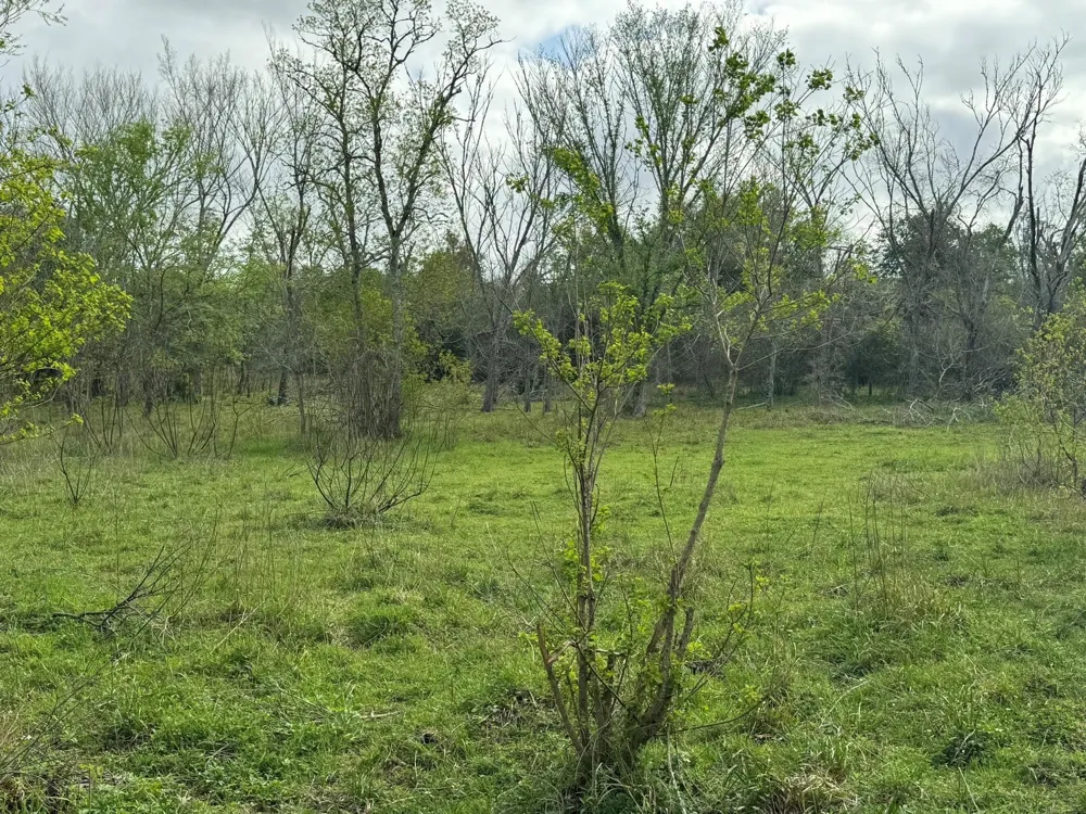 County Road 394 El Campo, TX 77437