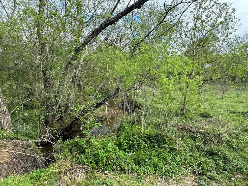 County Road 394 El Campo, TX 77437
