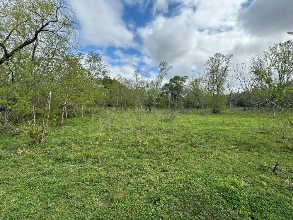 County Road 394 El Campo, TX 77437
