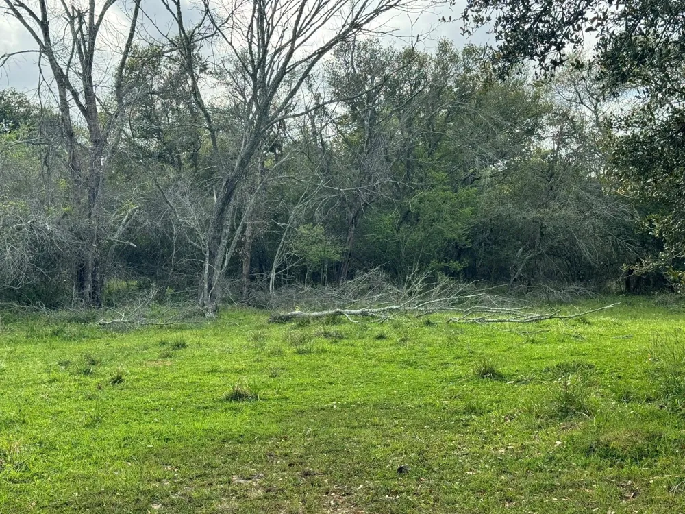 County Road 394 El Campo, TX 77437