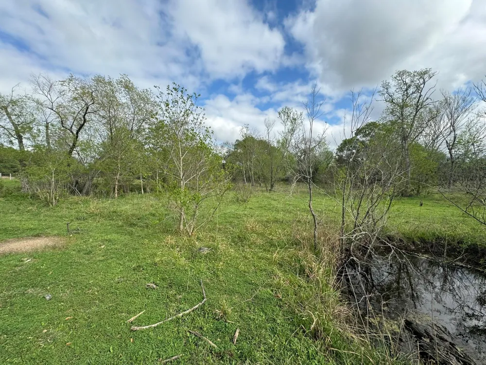 County Road 394 El Campo, TX 77437