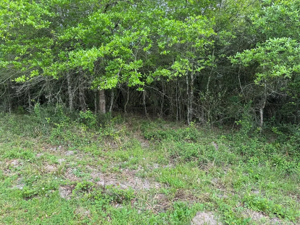 County Road 394 El Campo, TX 77437
