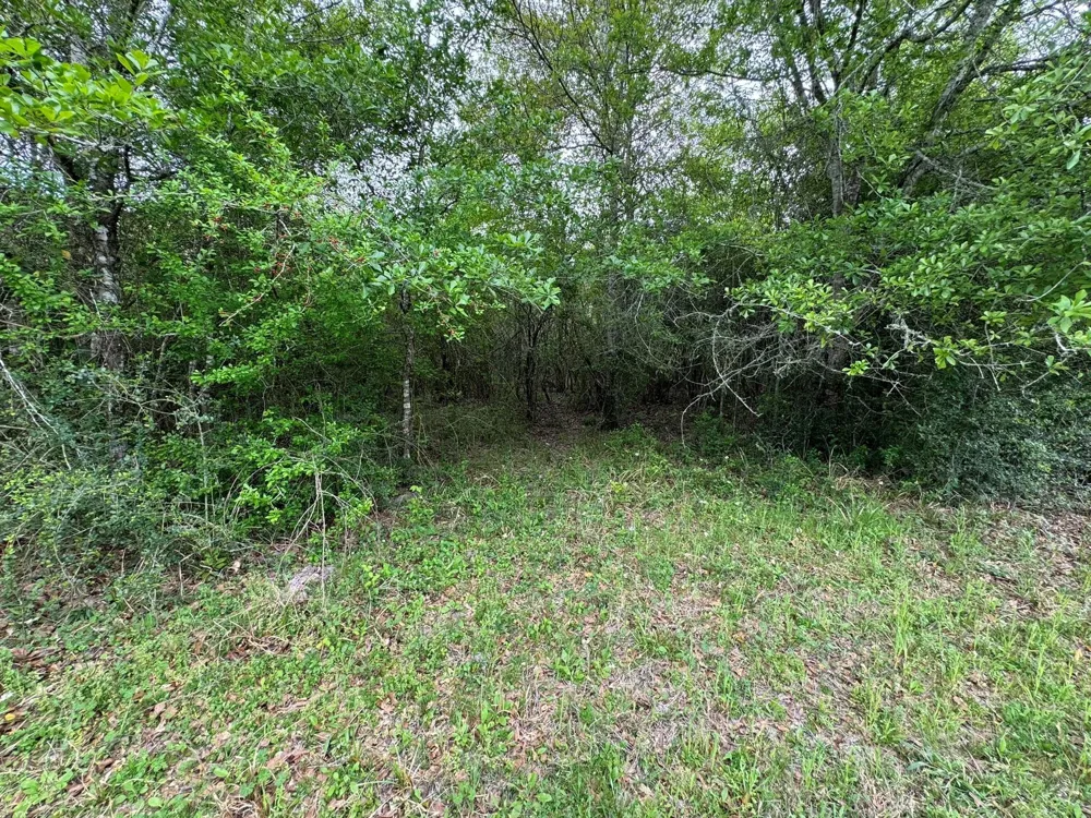 County Road 394 El Campo, TX 77437