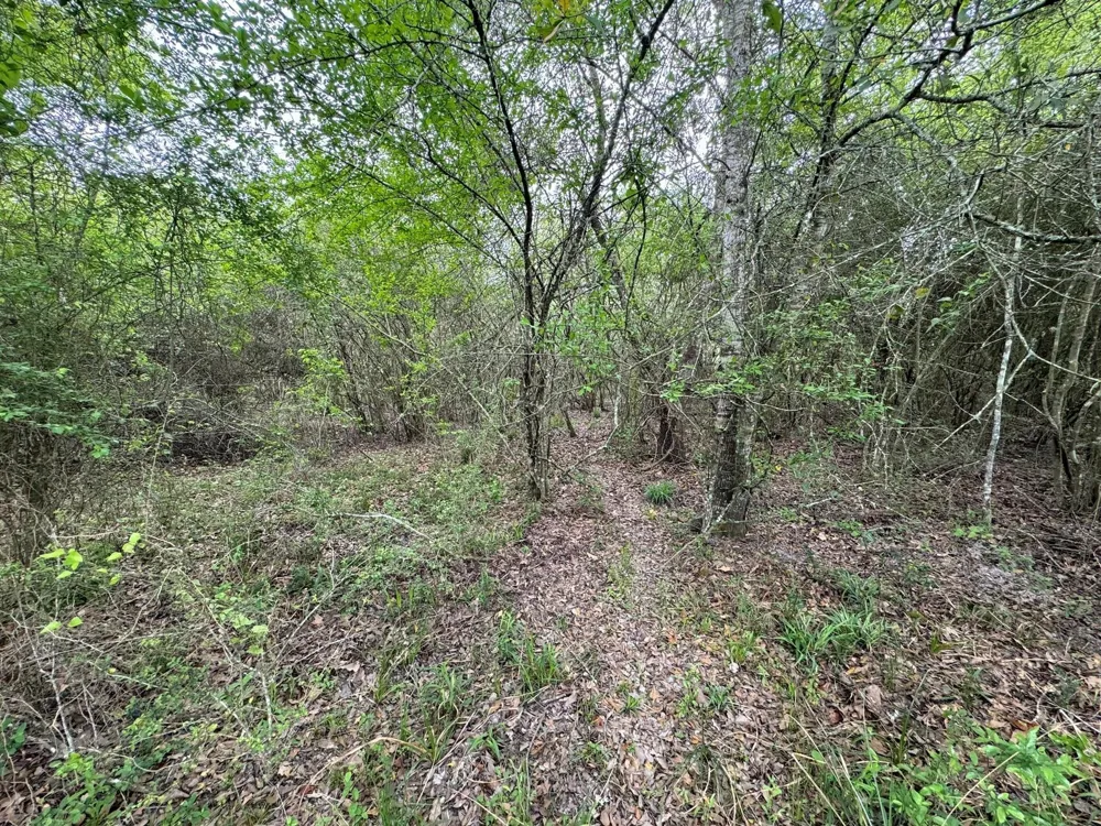 County Road 394 El Campo, TX 77437