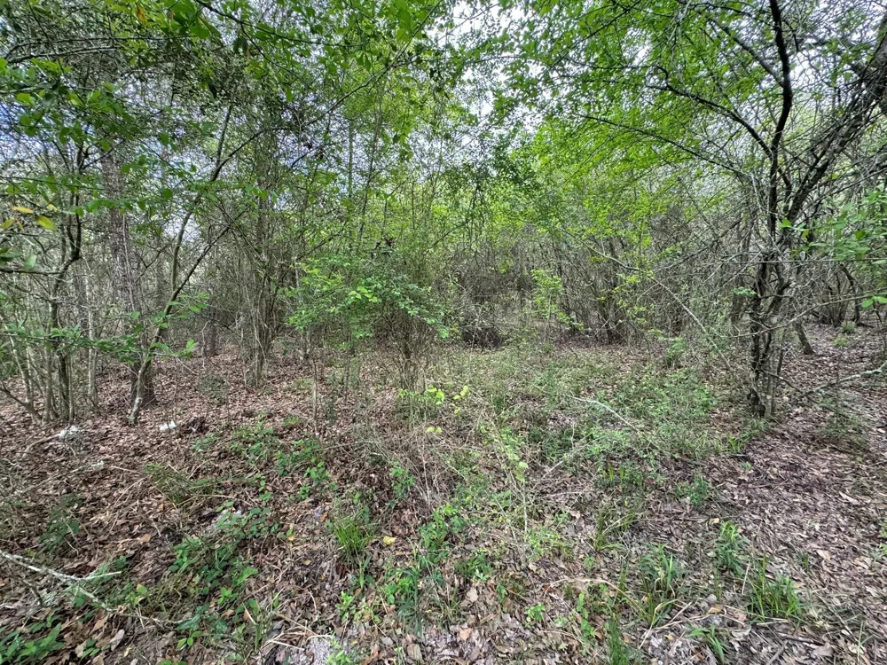 County Road 394 El Campo, TX 77437