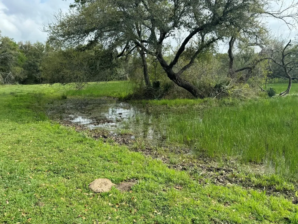 County Road 394 El Campo, TX 77437