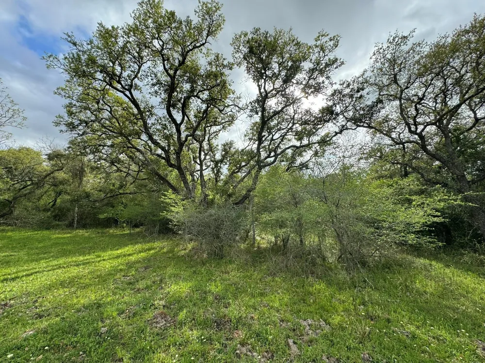 County Road 394 El Campo, TX 77437