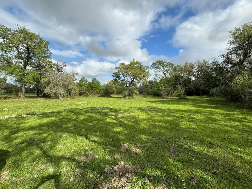County Road 394 El Campo, TX 77437