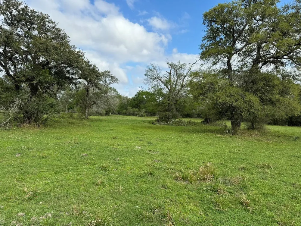County Road 394 El Campo, TX 77437