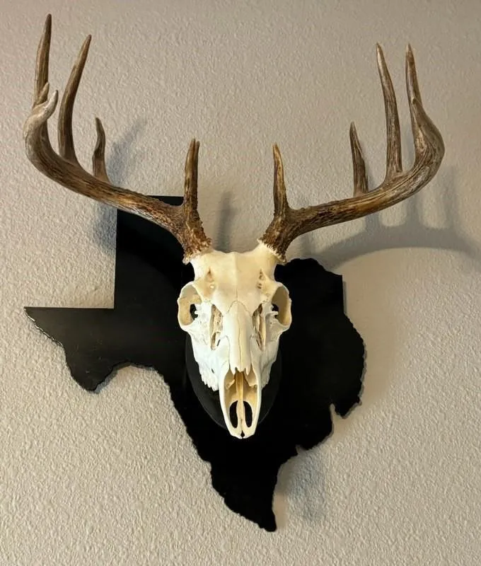 County Road 394 El Campo, TX 77437