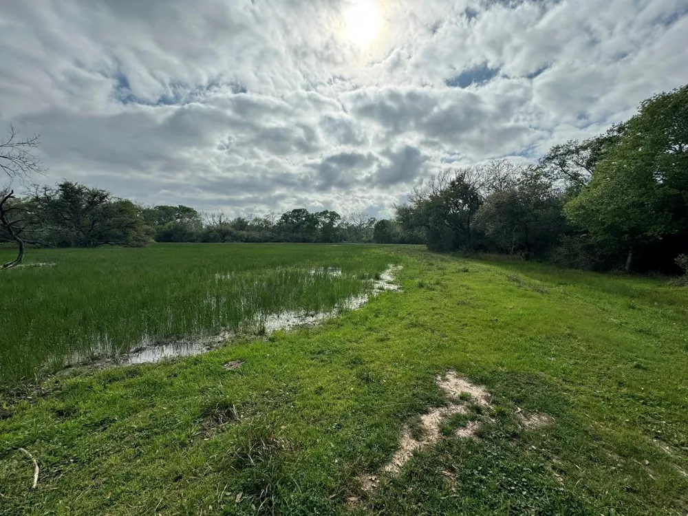 County Road 394 El Campo, TX 77437
