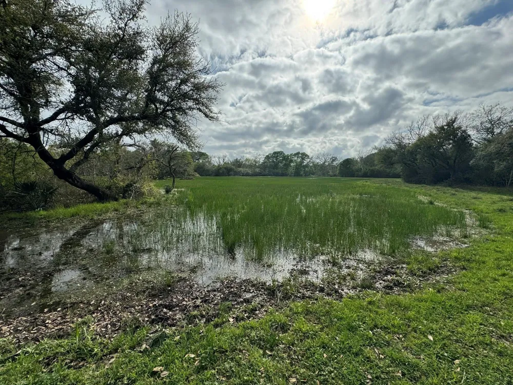 County Road 394 El Campo, TX 77437