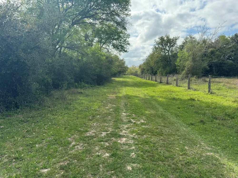 County Road 394 El Campo, TX 77437