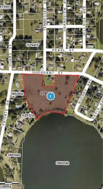 GUERRANT STREET Umatilla, FL 32784