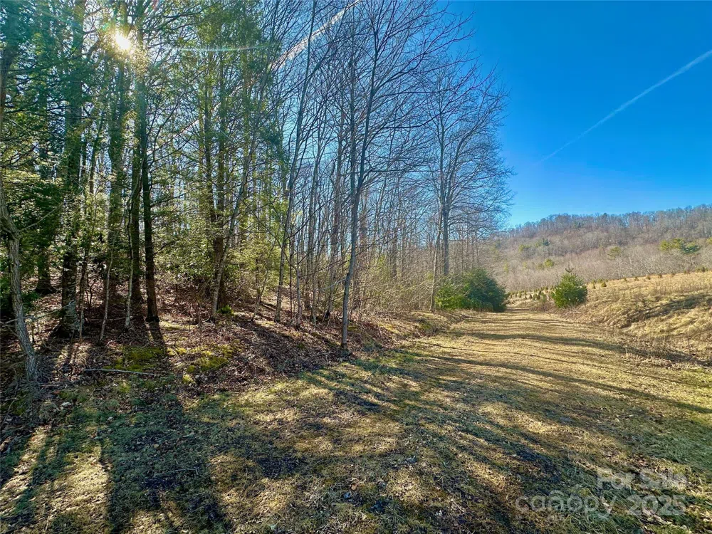 TBD Snipe Hill Drive Newland, NC 28657