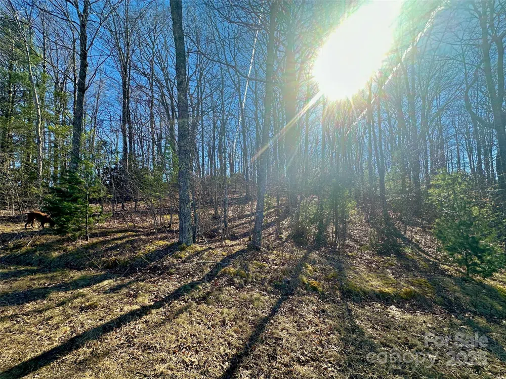 TBD Snipe Hill Drive Newland, NC 28657