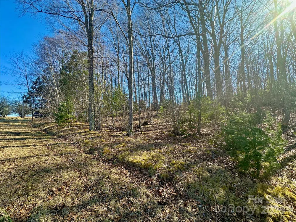 TBD Snipe Hill Drive Newland, NC 28657