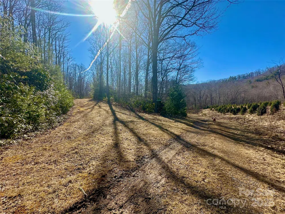 TBD Snipe Hill Drive Newland, NC 28657