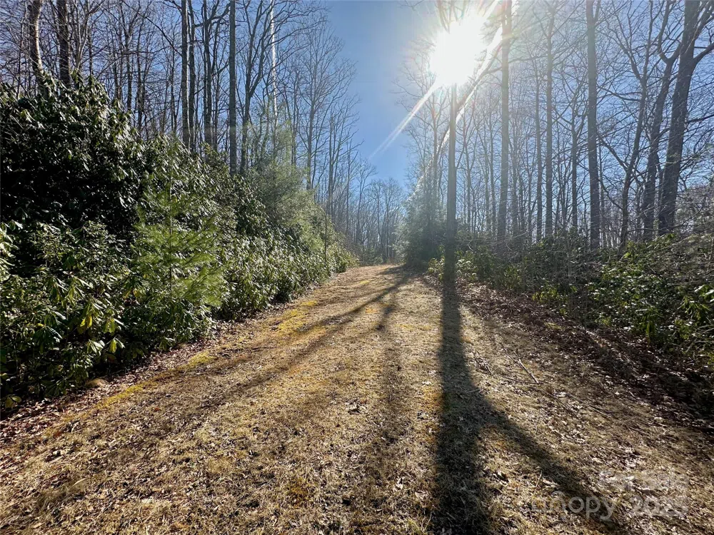 TBD Snipe Hill Drive Newland, NC 28657