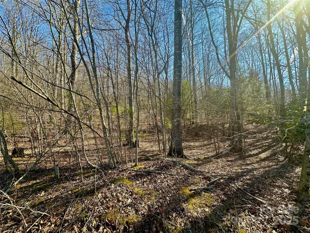 TBD Snipe Hill Drive Newland, NC 28657