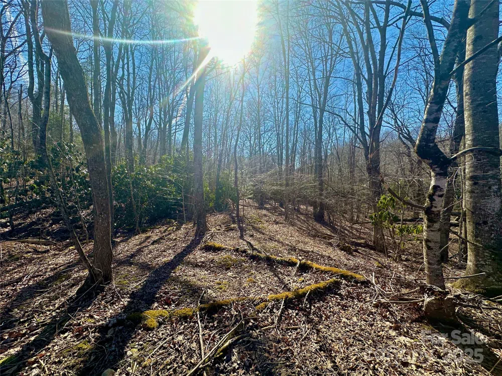 TBD Snipe Hill Drive Newland, NC 28657
