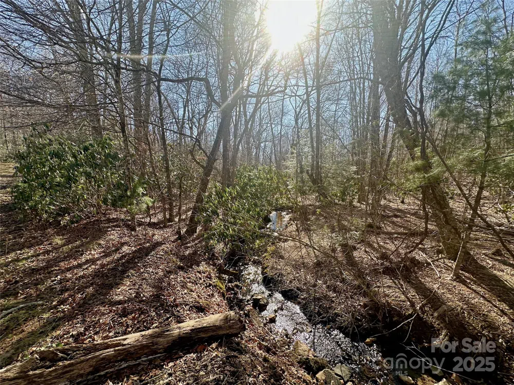 TBD Snipe Hill Drive Newland, NC 28657