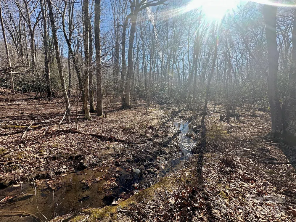 TBD Snipe Hill Drive Newland, NC 28657