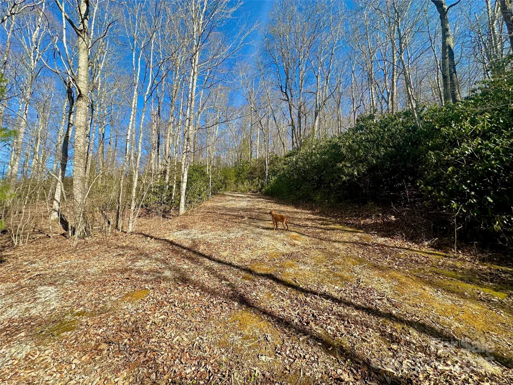 TBD Snipe Hill Drive Newland, NC 28657
