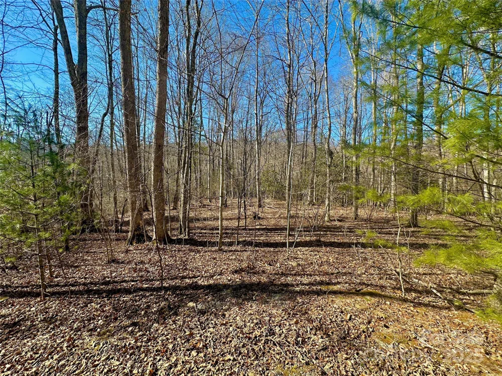 TBD Snipe Hill Drive Newland, NC 28657