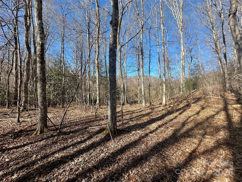 TBD Snipe Hill Drive Newland, NC 28657