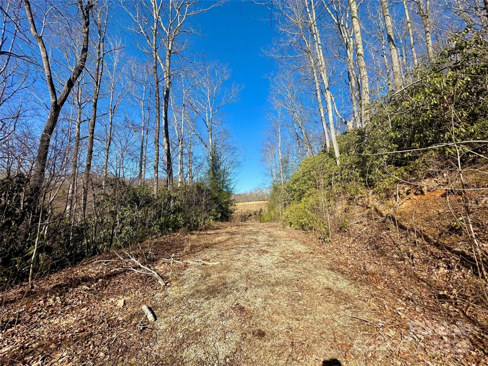 TBD Snipe Hill Drive Newland, NC 28657