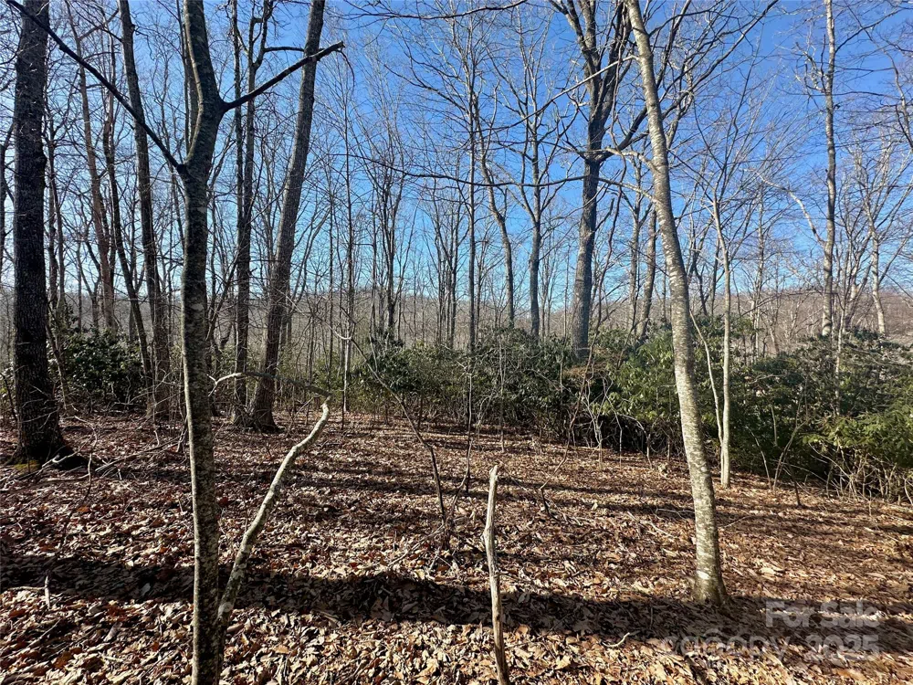 TBD Snipe Hill Drive Newland, NC 28657