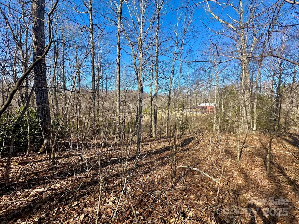 TBD Snipe Hill Drive Newland, NC 28657