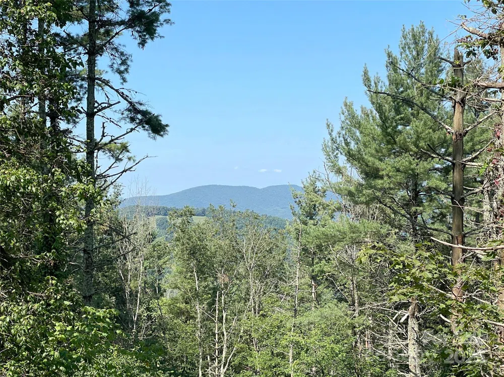 9999 Clouds Rest Drive #WR56 Banner Elk, NC 28604