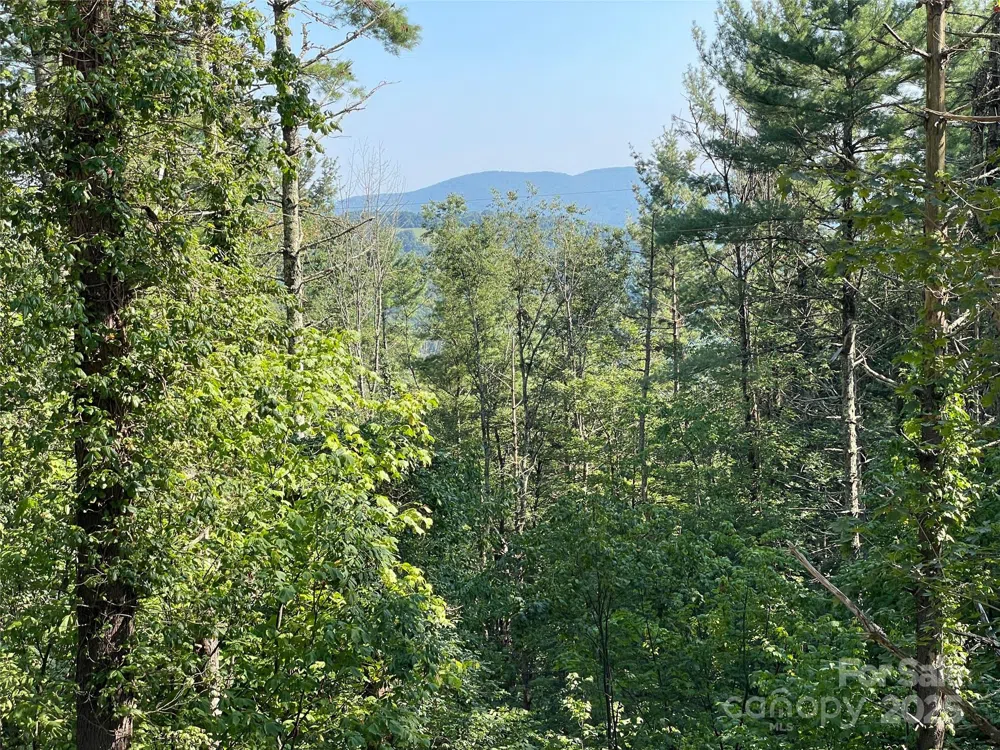 9999 Clouds Rest Drive #WR56 Banner Elk, NC 28604