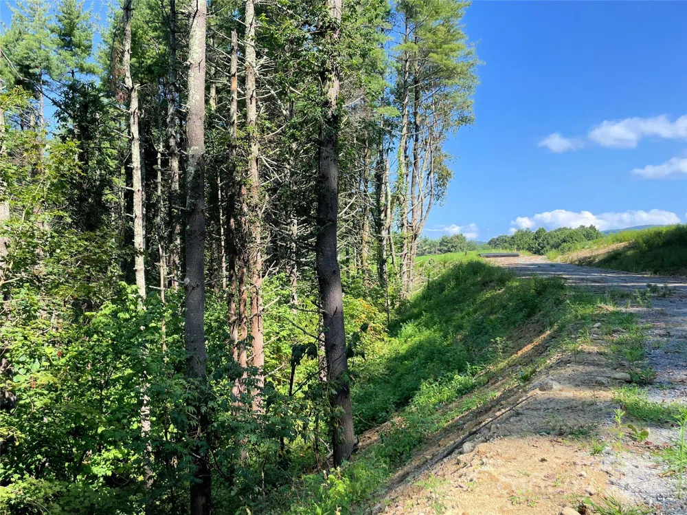 9999 Clouds Rest Drive #WR56 Banner Elk, NC 28604