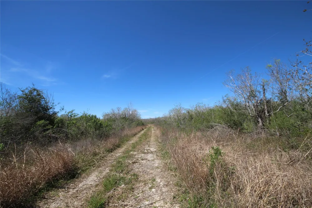 Texas Hwy 288 S Rosharon, TX 77583