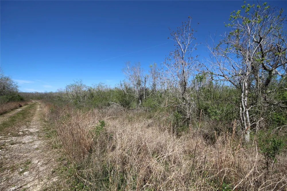 Texas Hwy 288 S Rosharon, TX 77583