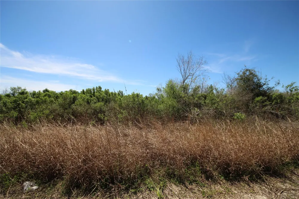 Texas Hwy 288 S Rosharon, TX 77583