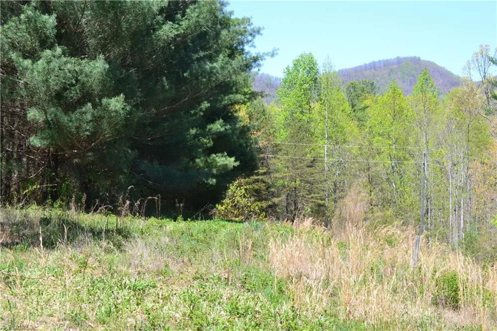 00 Swaringen Road Traphill, NC 28685