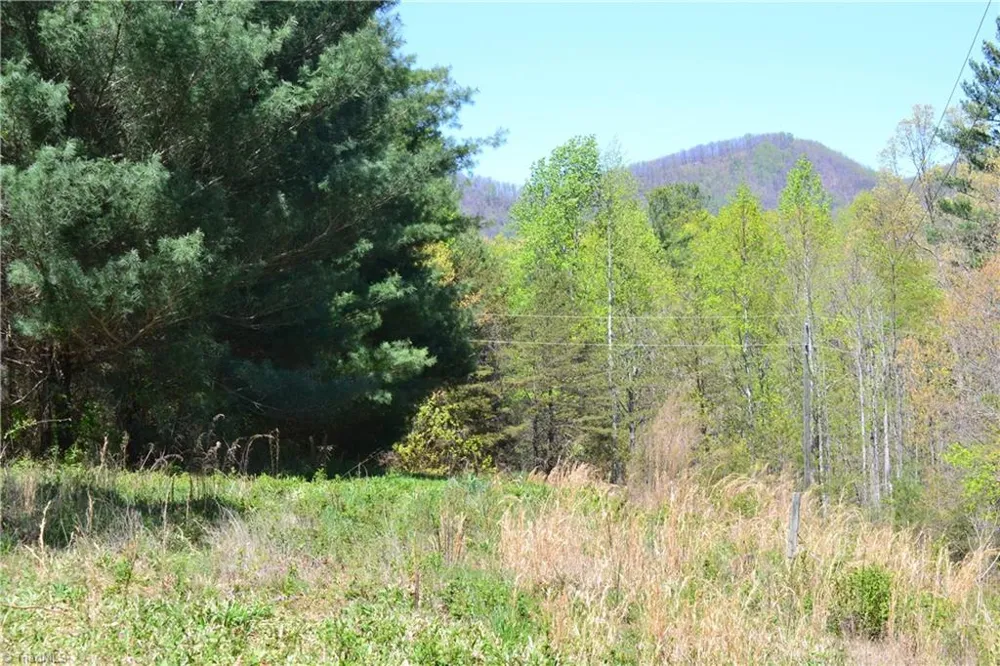 00 Swaringen Road Traphill, NC 28685