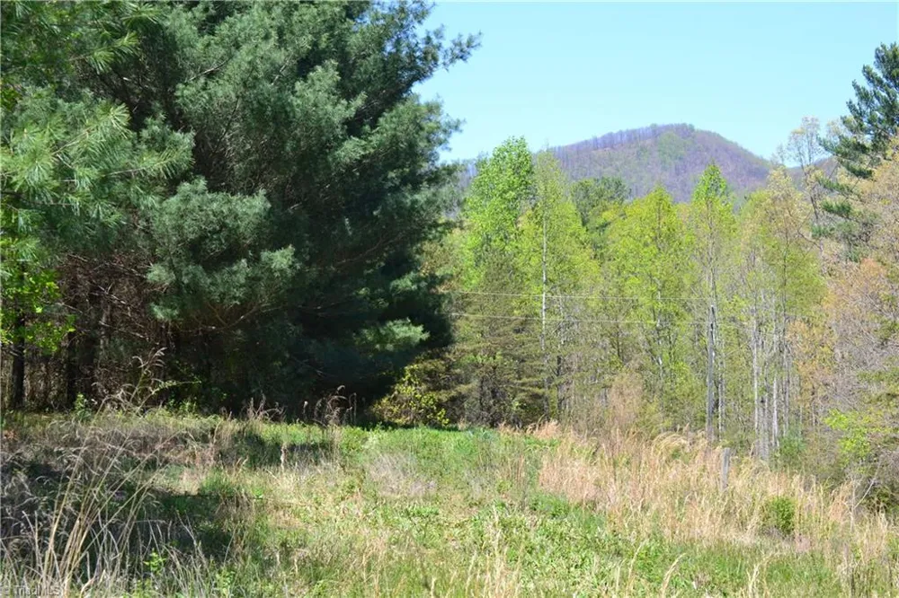 00 Swaringen Road Traphill, NC 28685