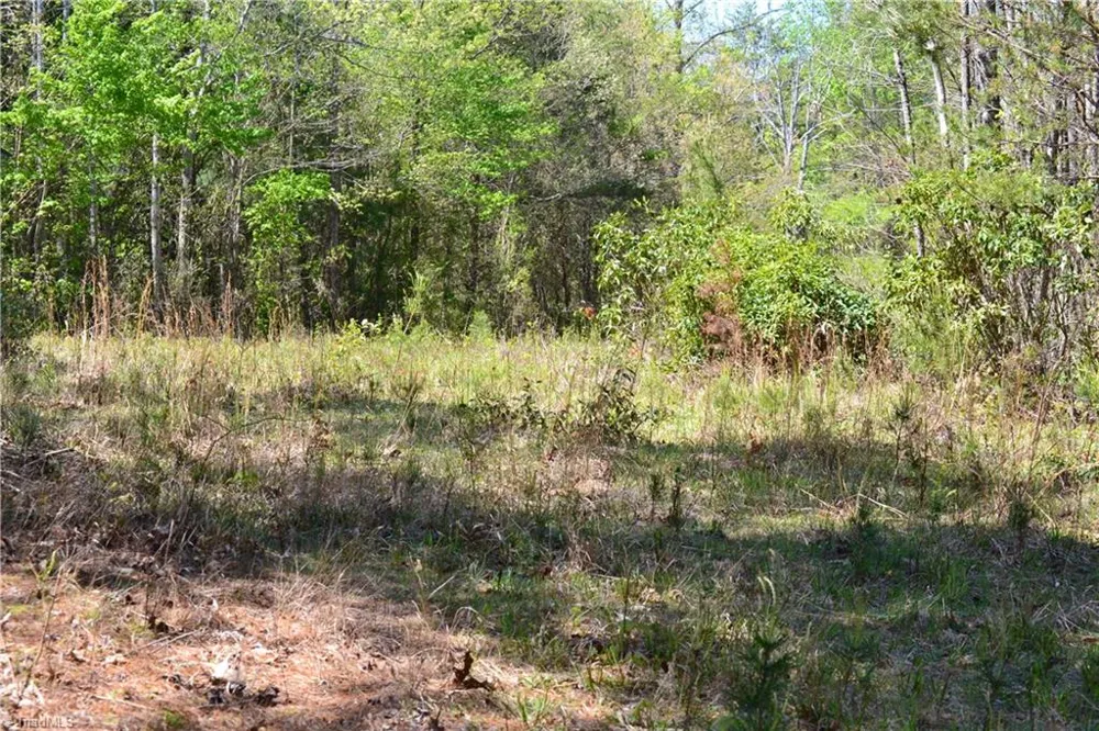 00 Swaringen Road Traphill, NC 28685