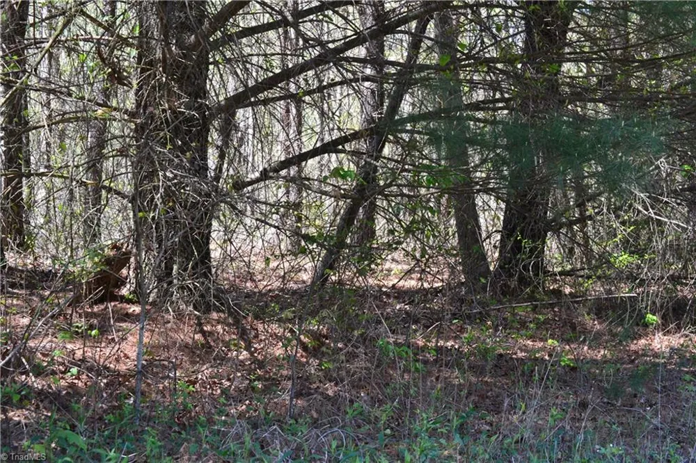 00 Swaringen Road Traphill, NC 28685